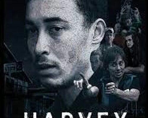 Cast and Crew of Harvey Interview